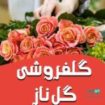 گلفروشی گل ناز در فیروزکوه